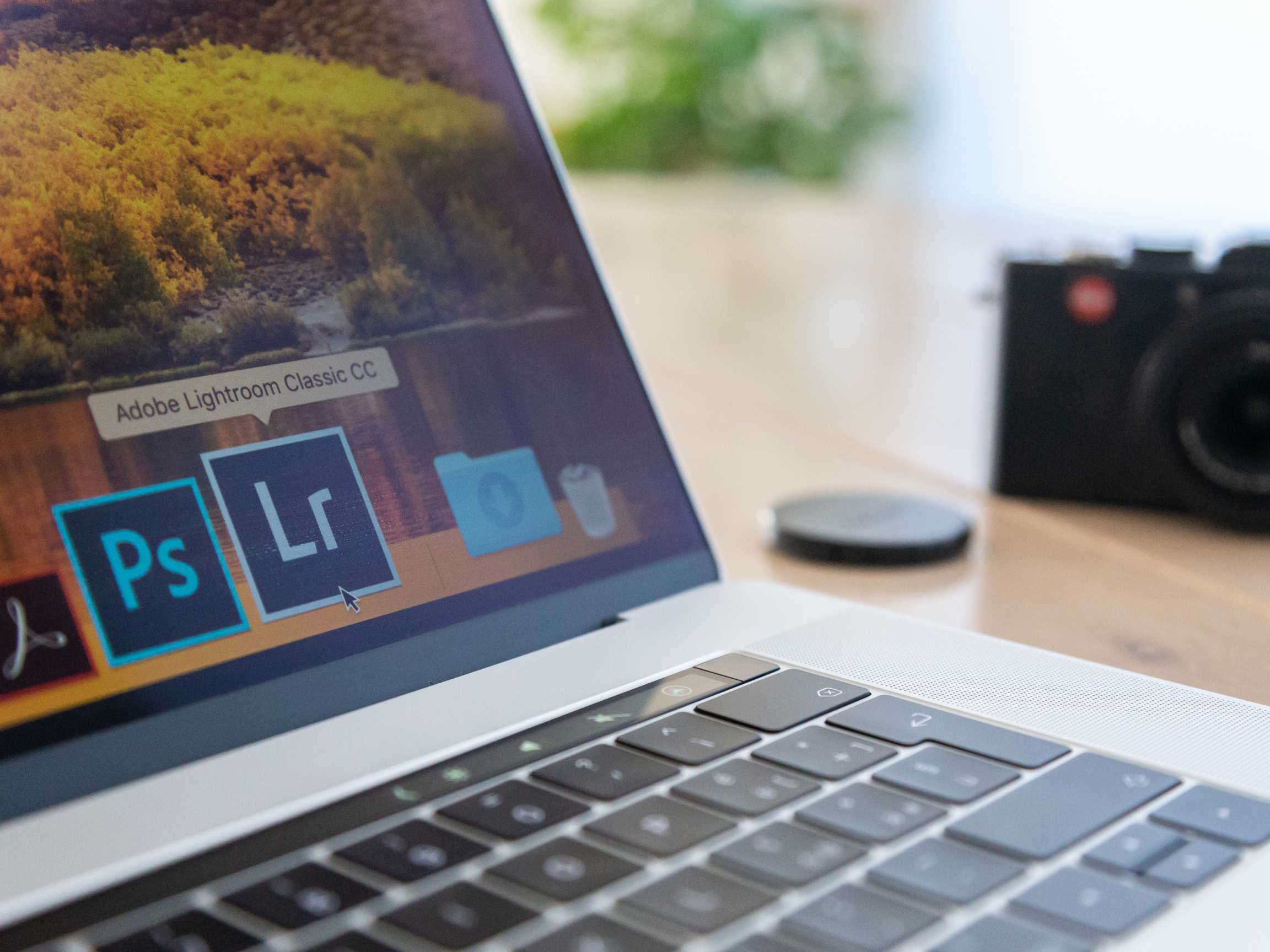 Centralized management and bonus security features are just a few examples of the value Adobe Creative Cloud brings to the table.
